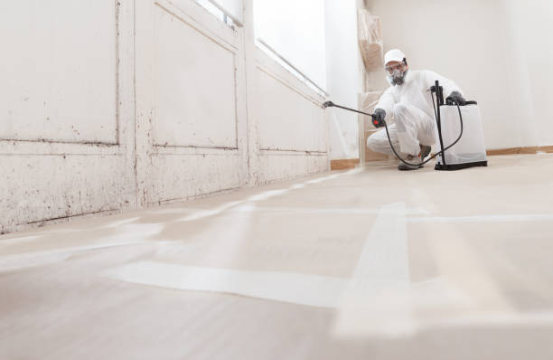 24/7 Emergency Attic Mold Removal experts in Wilson, NC