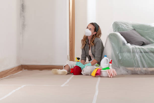 Reliable Attic Mold Removal contractor in Wilson, NC by WQB Mold Removal